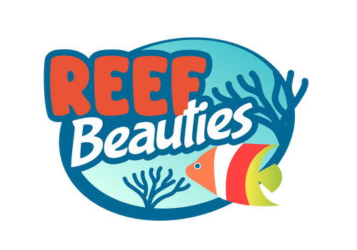Reef Beauties